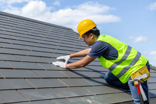 Best Roof Gutter Cleaning  in New Stanton, PA